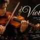 Violinist: The Complete Guide to the Art, Career, Skills, and Legacy of Violin Players