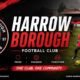 sanctified definition Harrow Borough FC: The Complete Guide to the Historic Non-League Football Club in