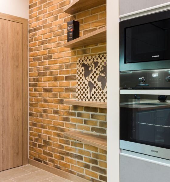 Thin Brick