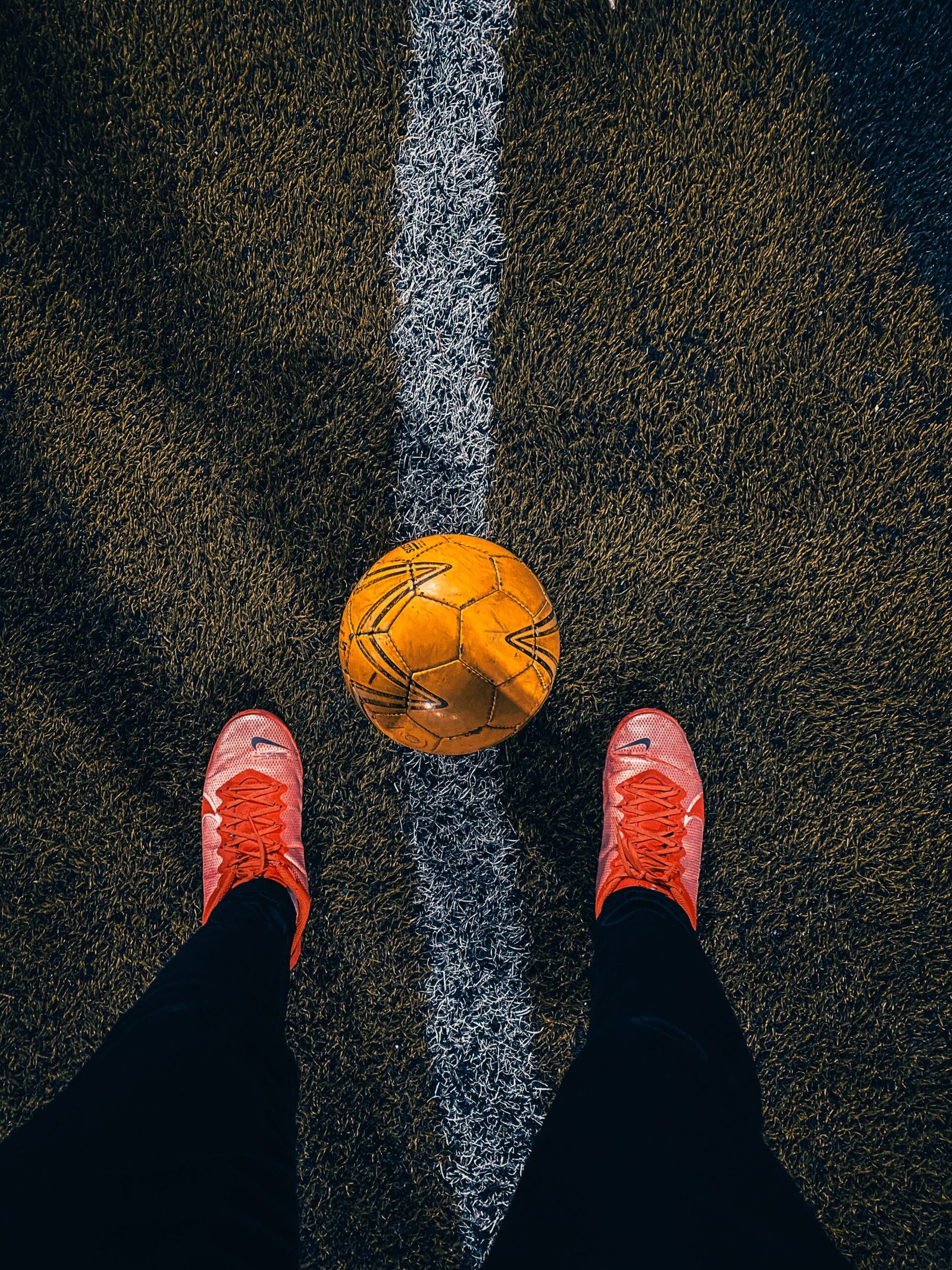sanctified definition sport booklet