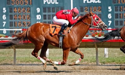 baeza horse