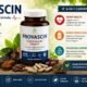sanctified definition Provascin – Complete Guide : Benefits, Ingredients, Dosage & Results